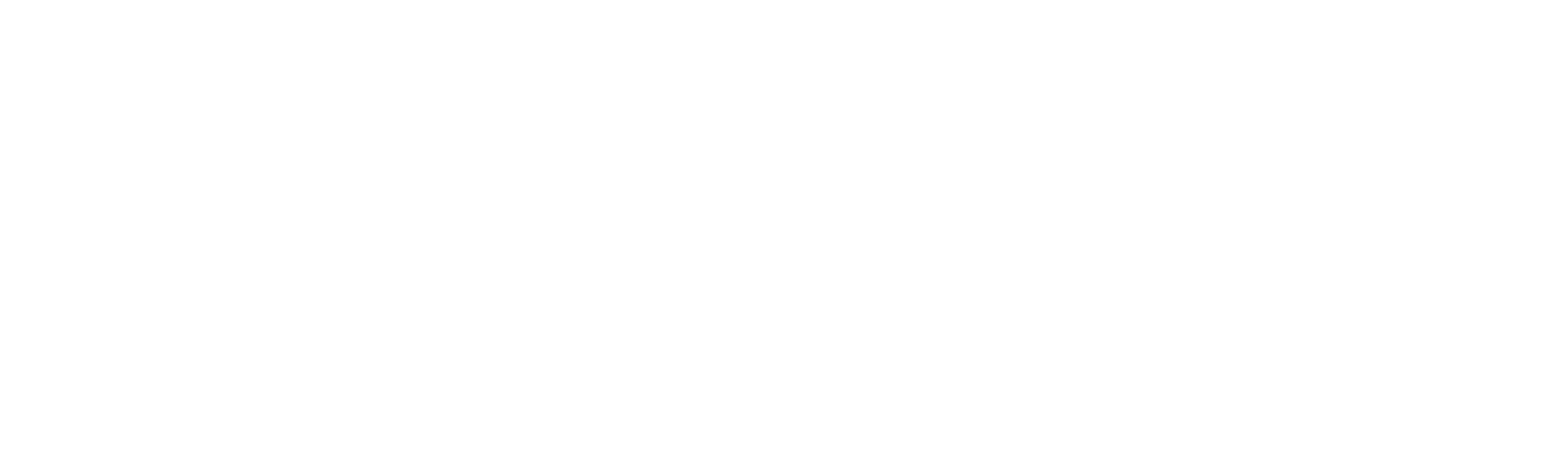 90 Day Journey: Anna & Mursel