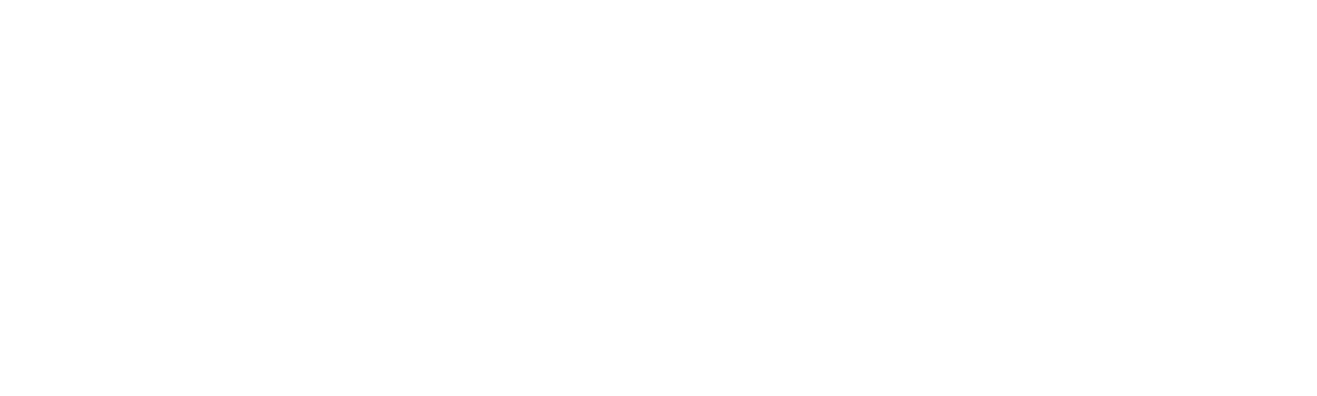 On the Trail: Inside the 2020 Primaries