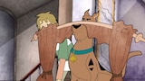 Zoinks the Wonder Dog