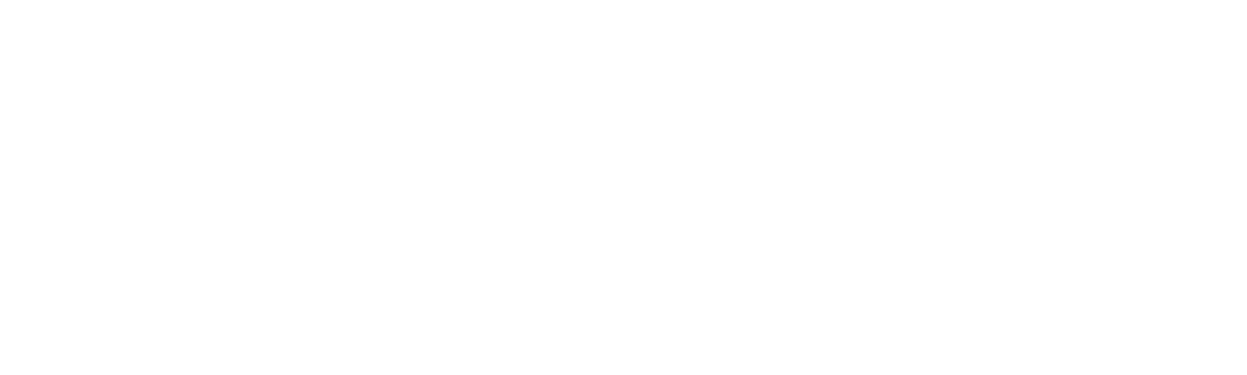 Detective por Error