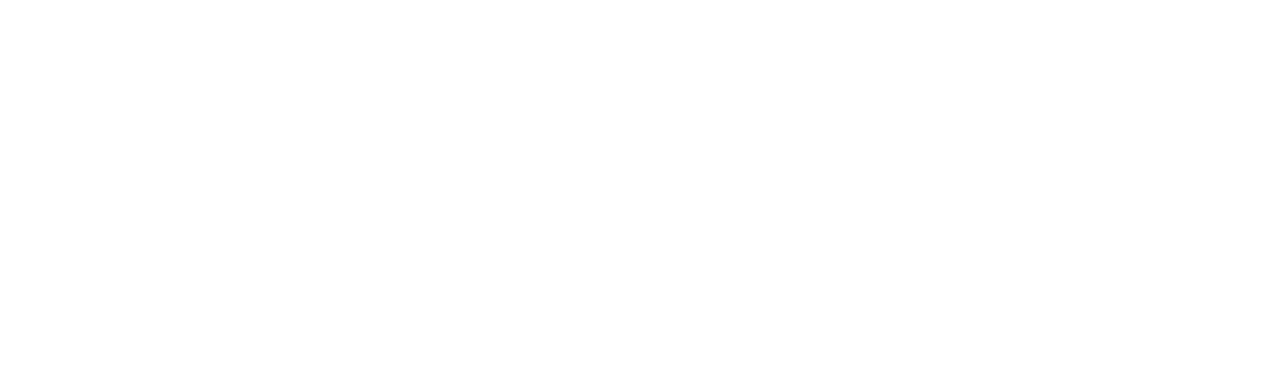 賽倫蓋提：非洲之心