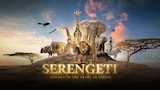 Serengeti: Journey to the Heart of Africa