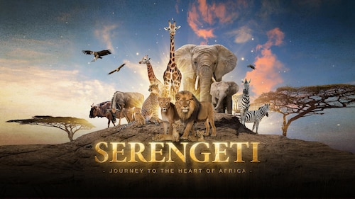 Watch Serengeti: Journey to the Heart of Africa | HBO Max