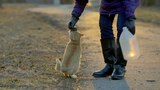 Philly's Forgotten Cats