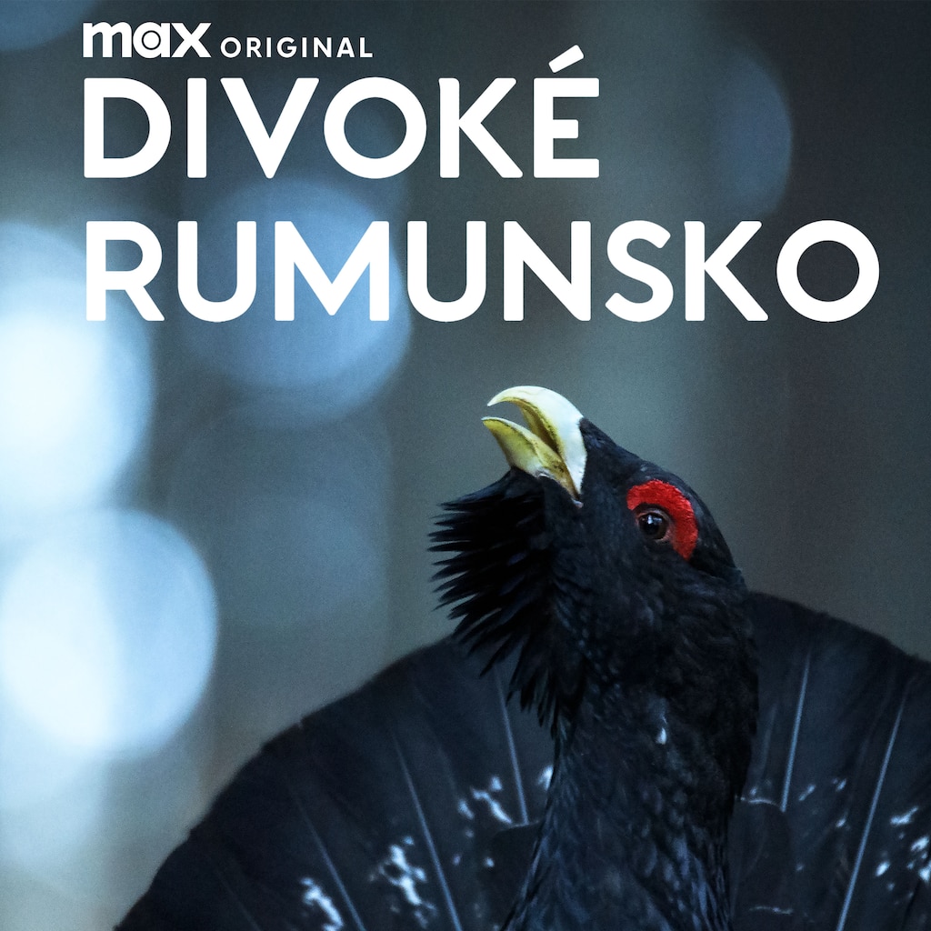 Divoké Rumunsko