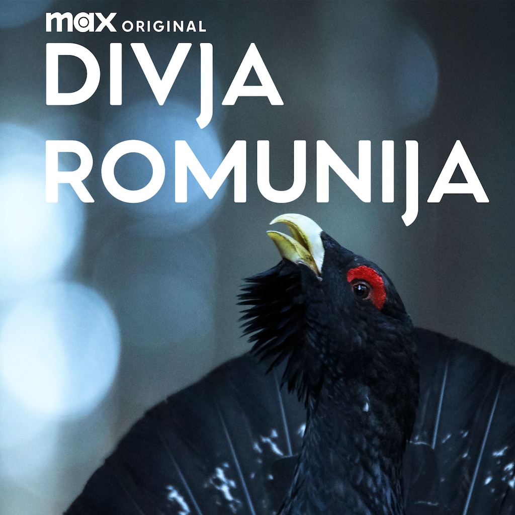 Divja Romunija