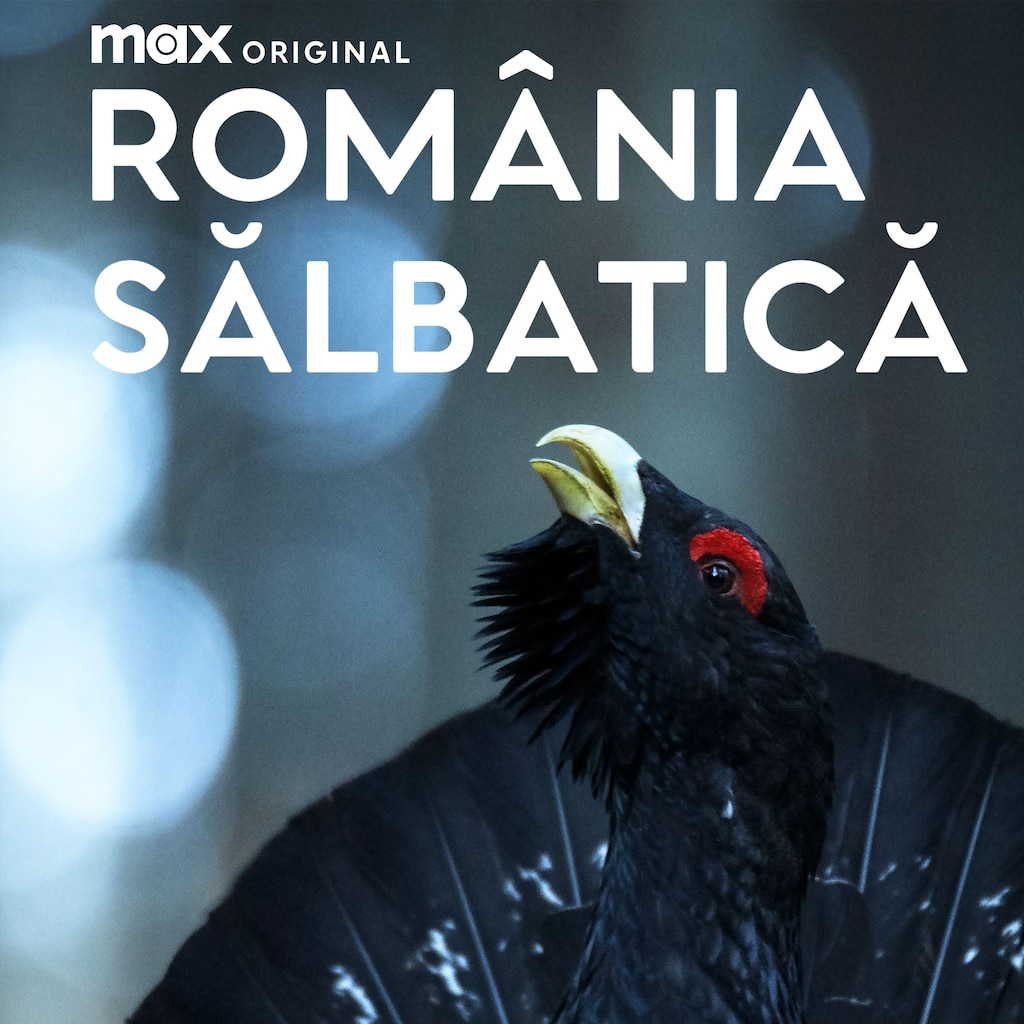 România sălbatică