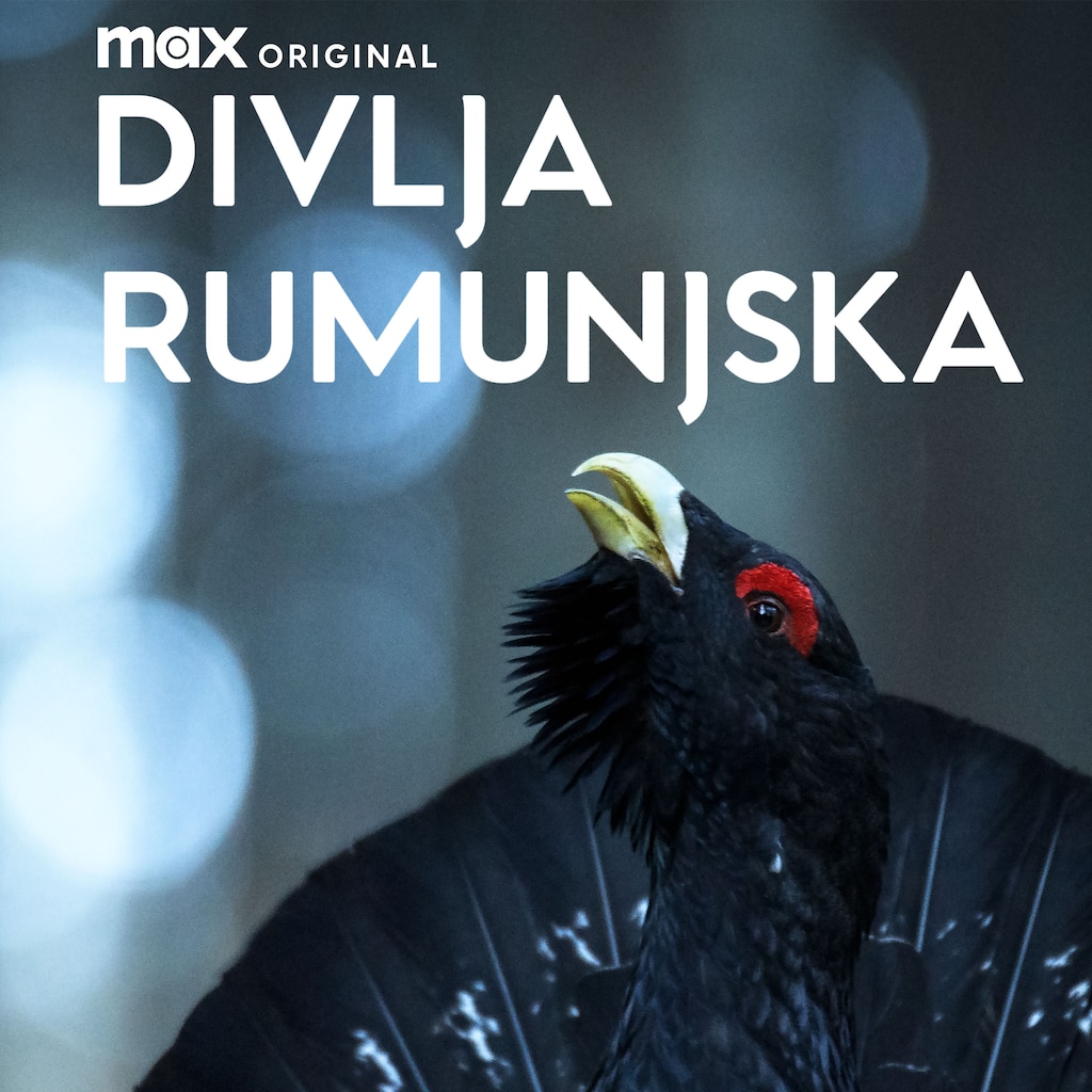 Divlja Rumunjska