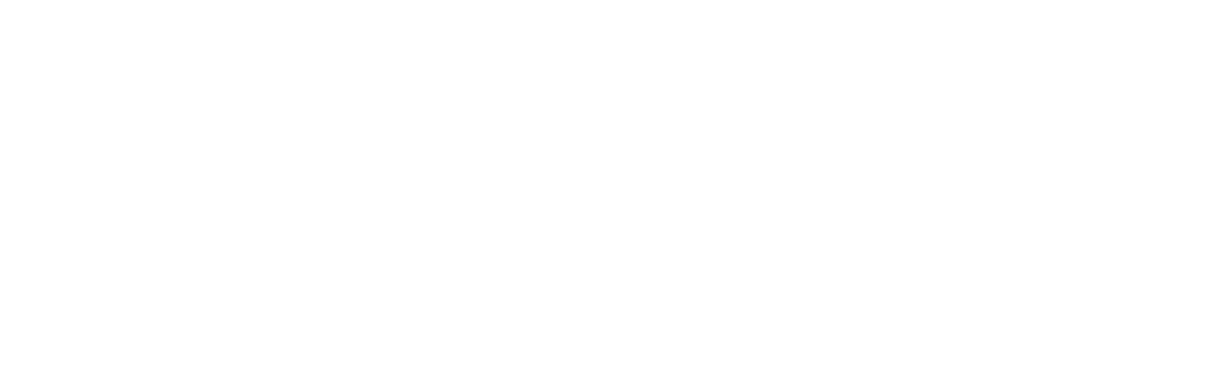The Hungarian Dressmaker