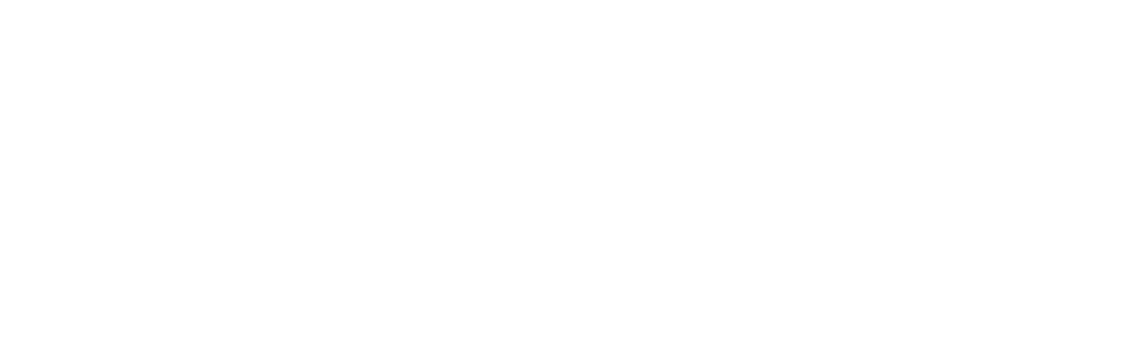 Fast N' Loud