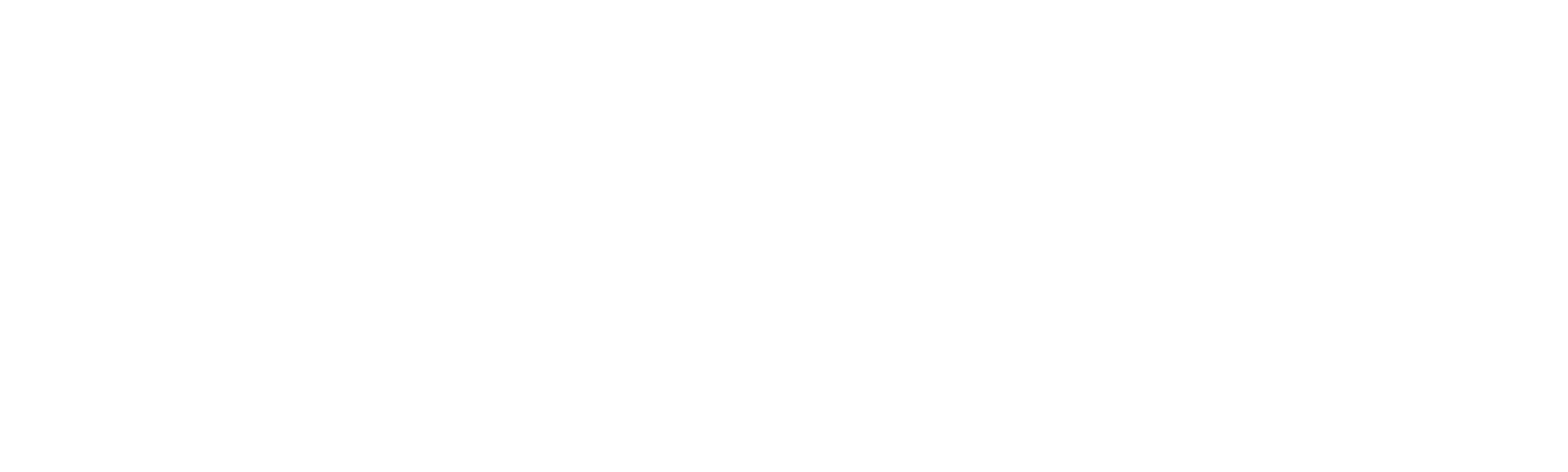 Fast N' Loud