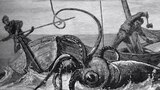 Curse of the Kraken