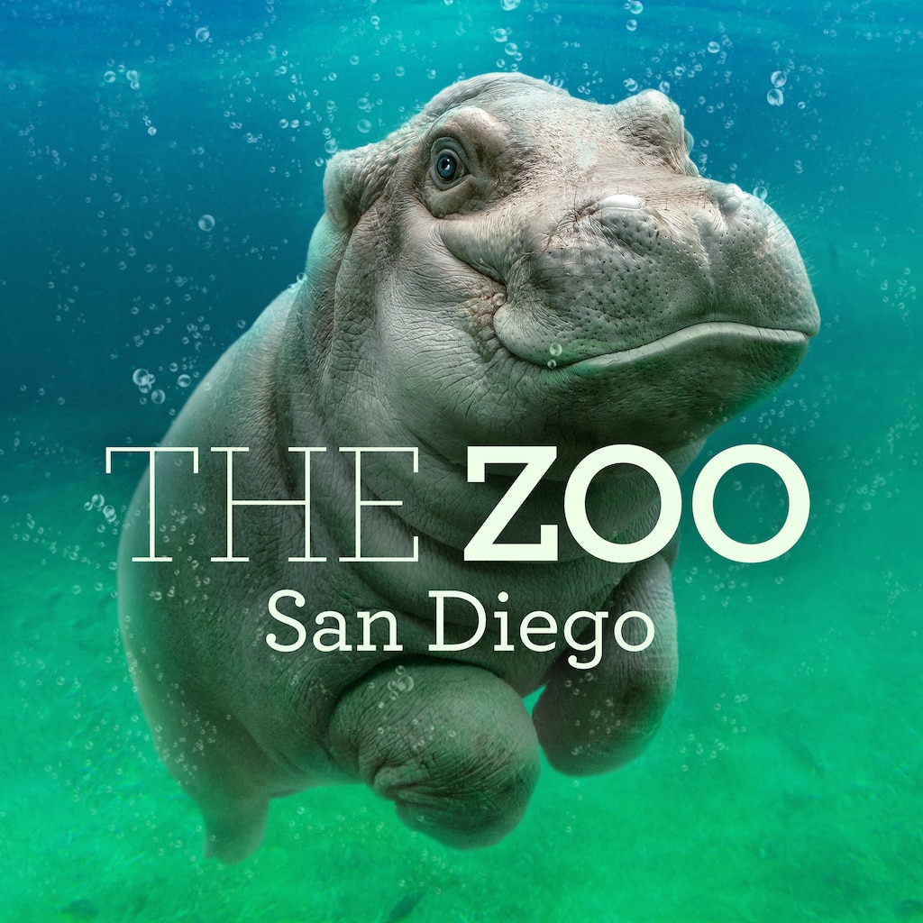 The Zoo: San Diego