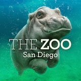 The Zoo: San Diego