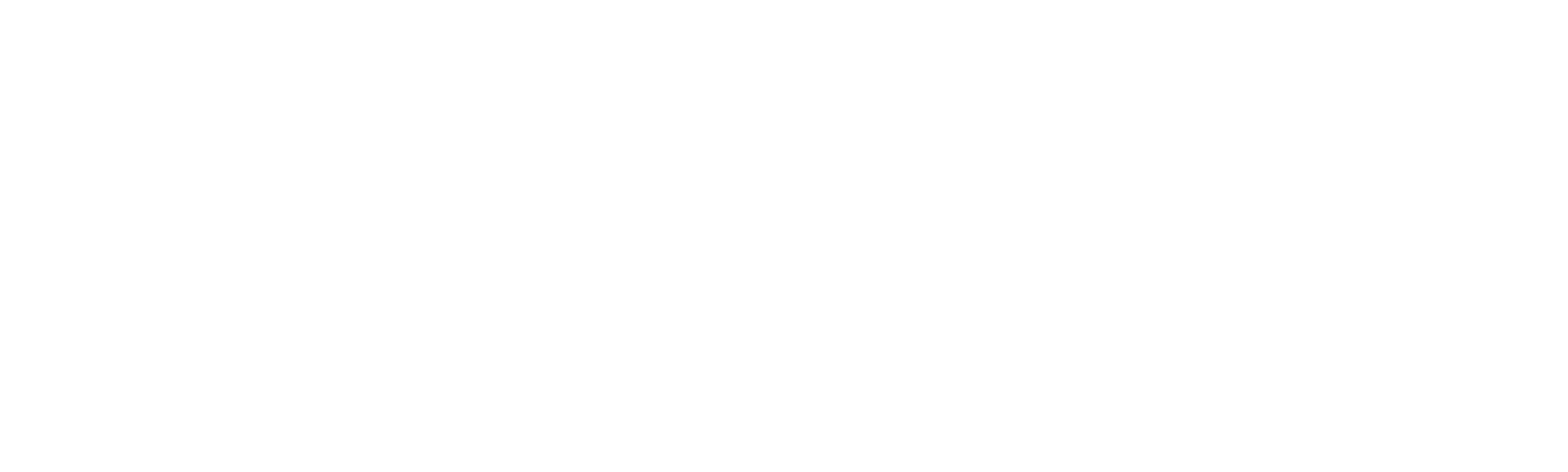 A Tree of Life: The Pittsburgh Synagogue Shooting