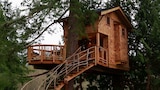 Treehouse Point 2.0