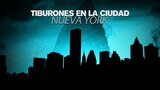 Tiburones en la ciudad: Nueva York