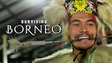 Surviving Borneo