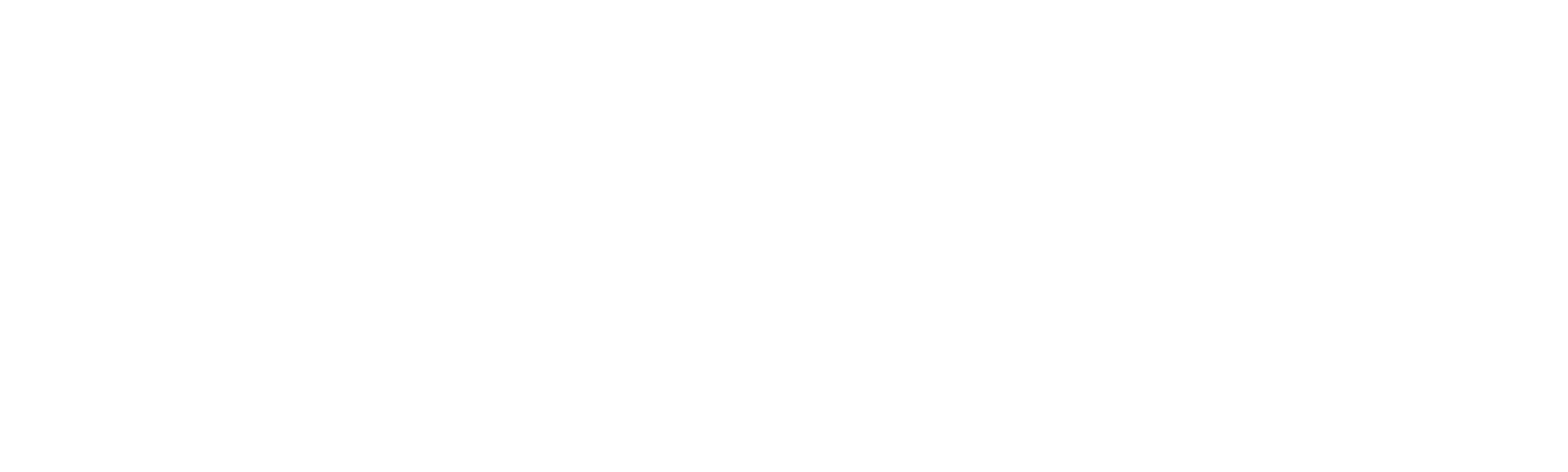 Loca academia de policía 4: Los ciudadanos se defienden