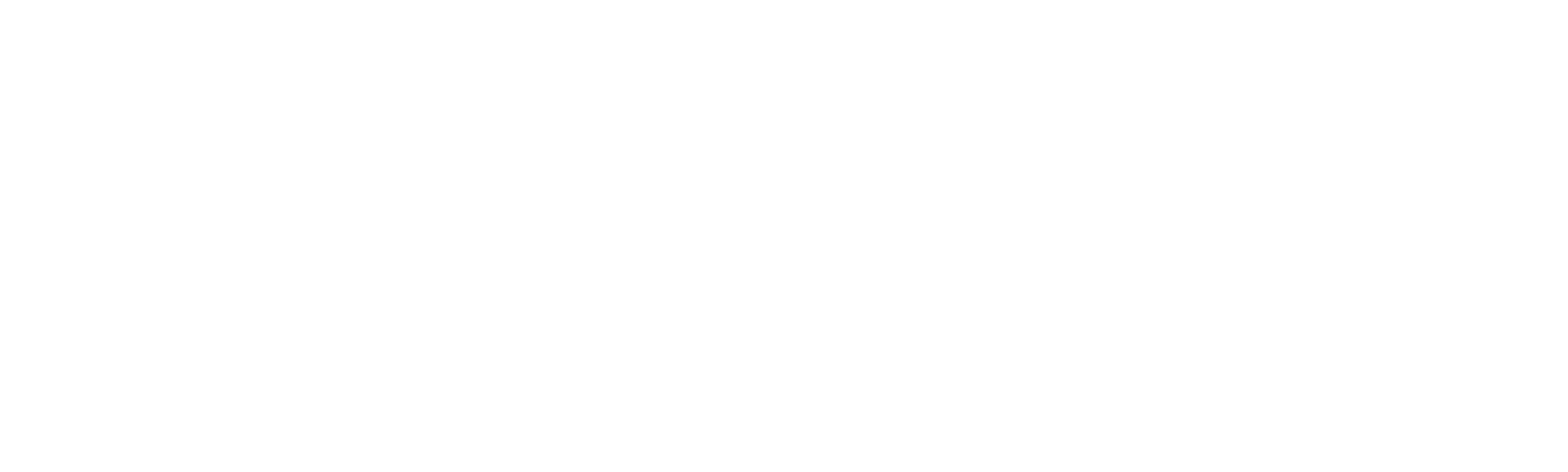 The First Star
