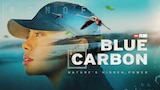 Blue Carbon: Nature's Hidden Power