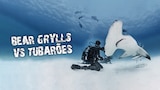 Bear Grylls vs. Tubarões