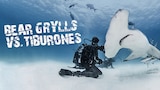 Bear Grylls vs. Tiburones