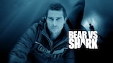 Bear Vs Shark