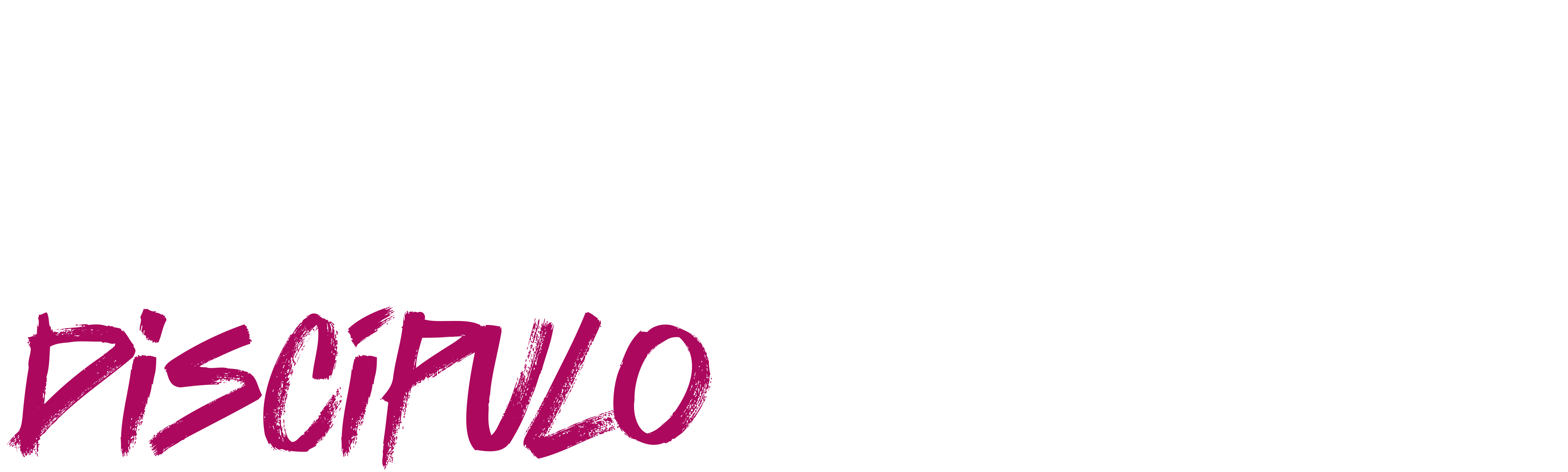 Stevie Van Zandt: Discípulo