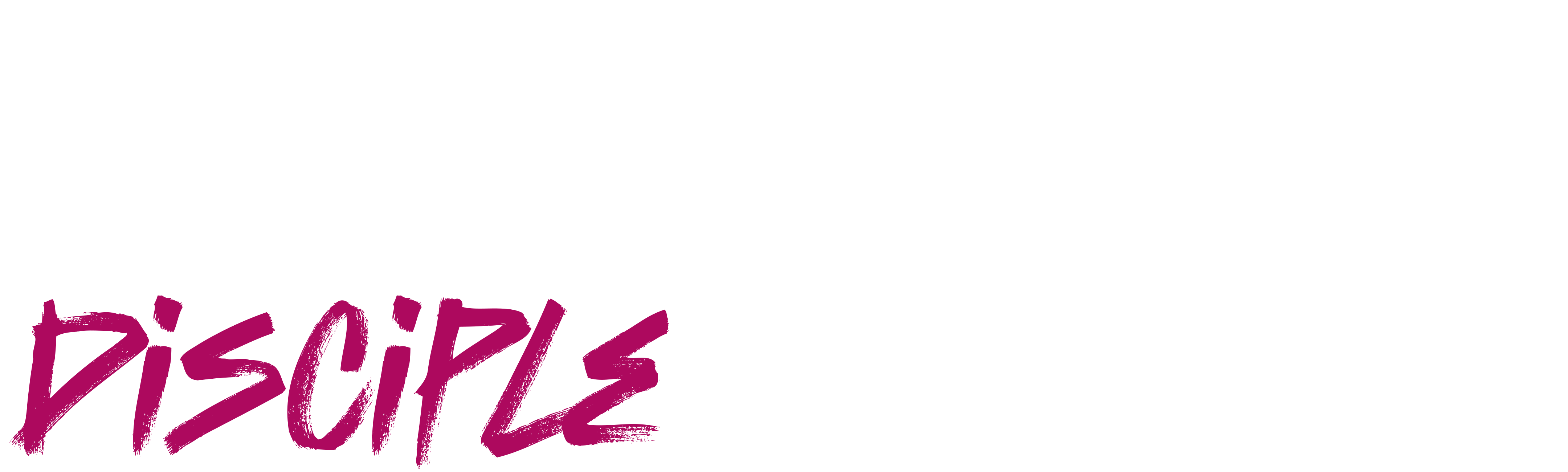 Stevie Van Zandt: Disciple