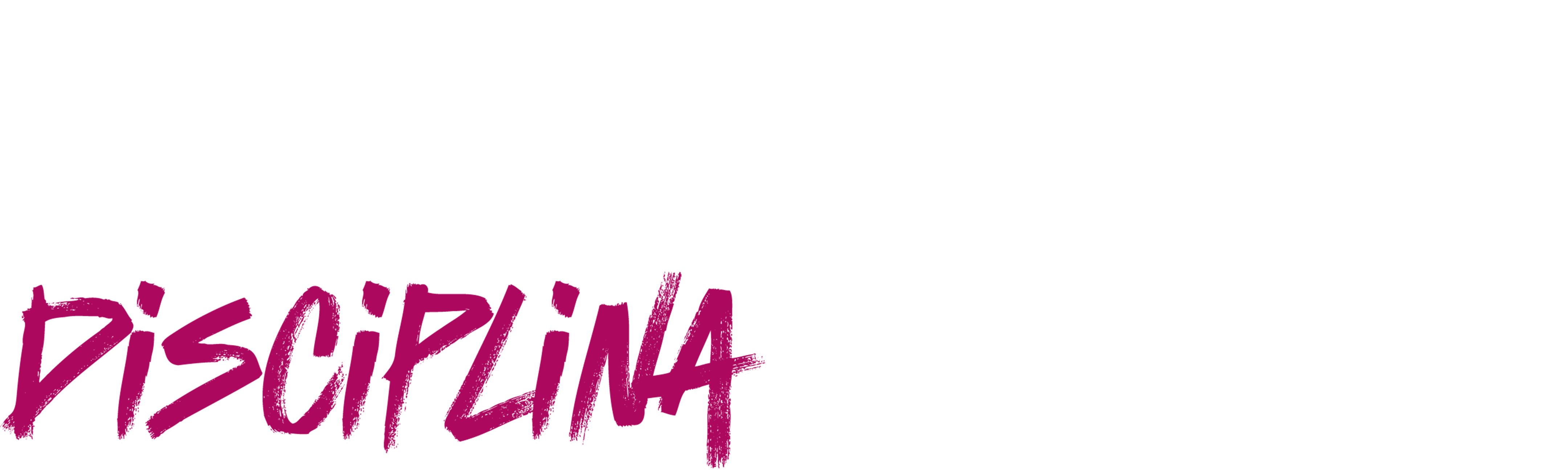 Stevie Van Zandt: discípulo