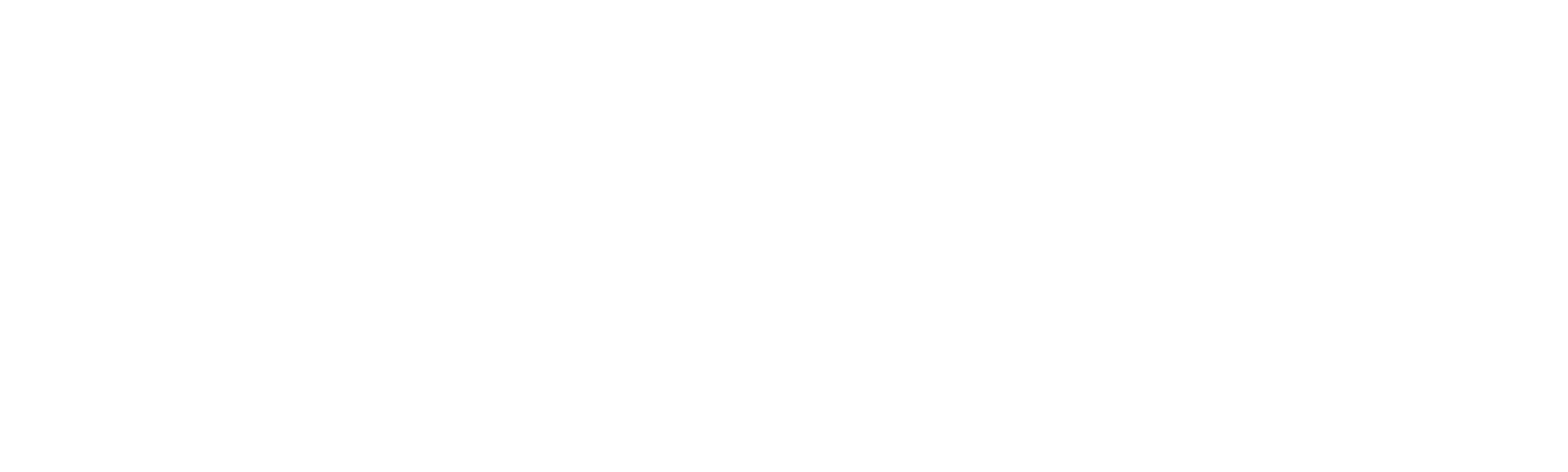 Anabel 3: Povratak kući