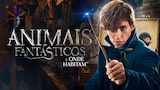 Animais Fantásticos e Onde Habitam