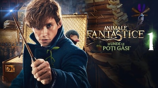 Animale fantastice și unde le poți găsi