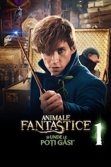 Animale fantastice și unde le poți găsi