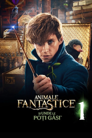 Animale fantastice și unde le poți găsi