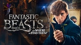 Fantastic Beasts and Where To Find Them