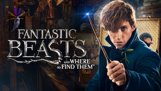 Fantastic Beasts and Where To Find Them