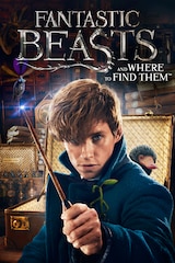 Fantastic Beasts and Where To Find Them