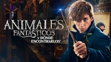 Animales Fantásticos y Dónde Encontrarlos