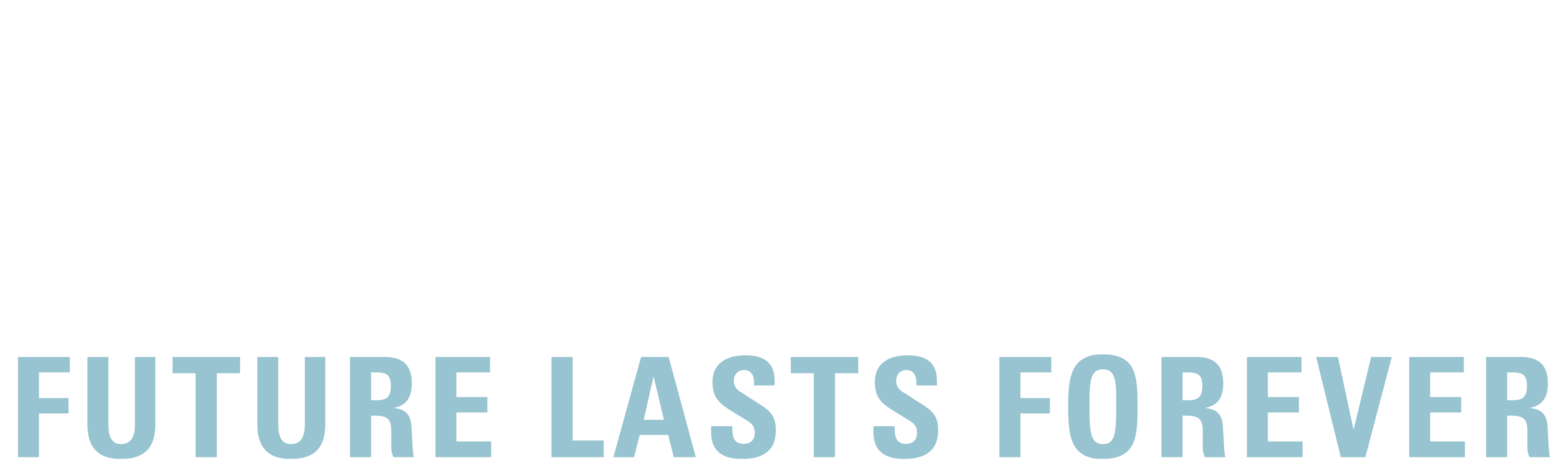 Future Lasts Forever