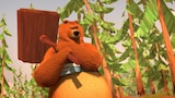 Cartoon Bear