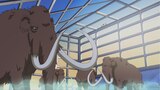 What Woolly Mammoth