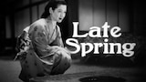 Late Spring