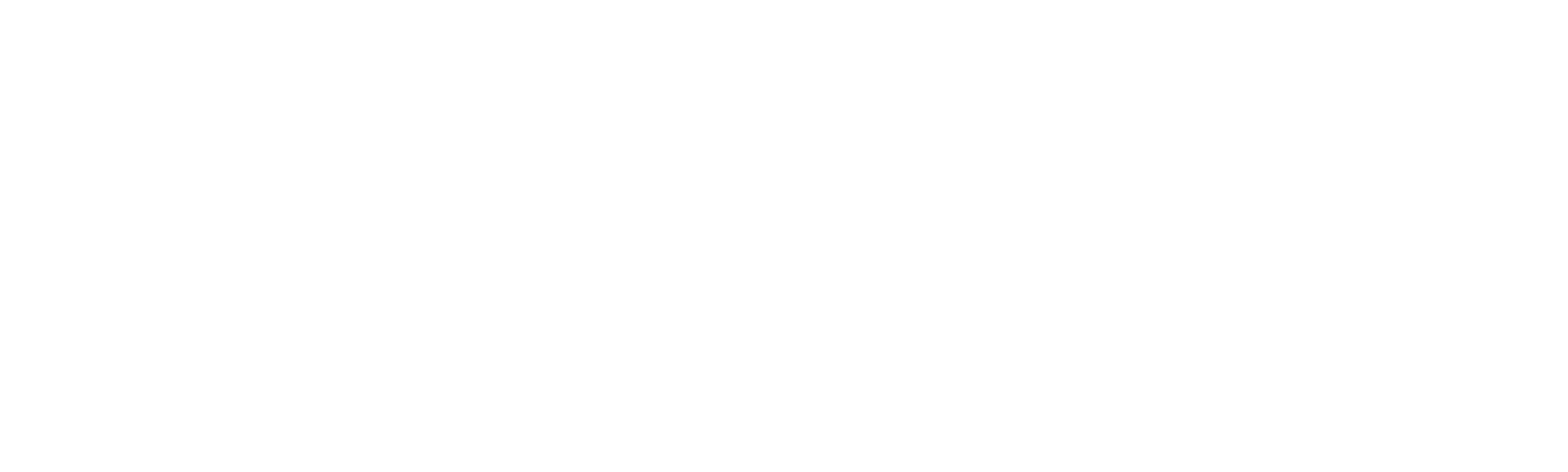 崔弟的高飛冒險