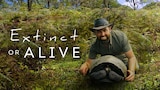Extinct or Alive