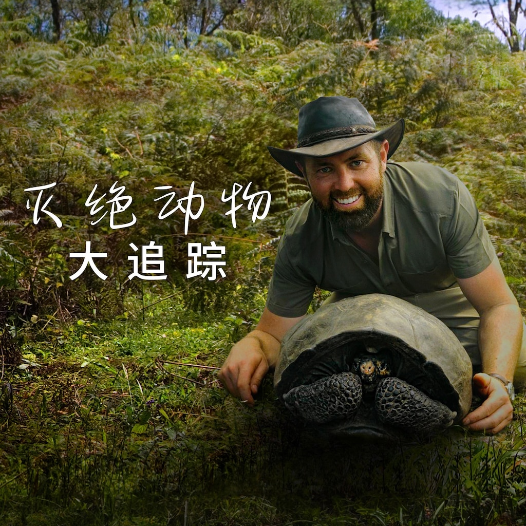 灭绝动物大追踪