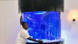 Tracy and His Octopus