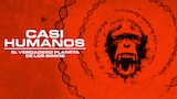 Casi humanos: el verdadero planeta de los simios