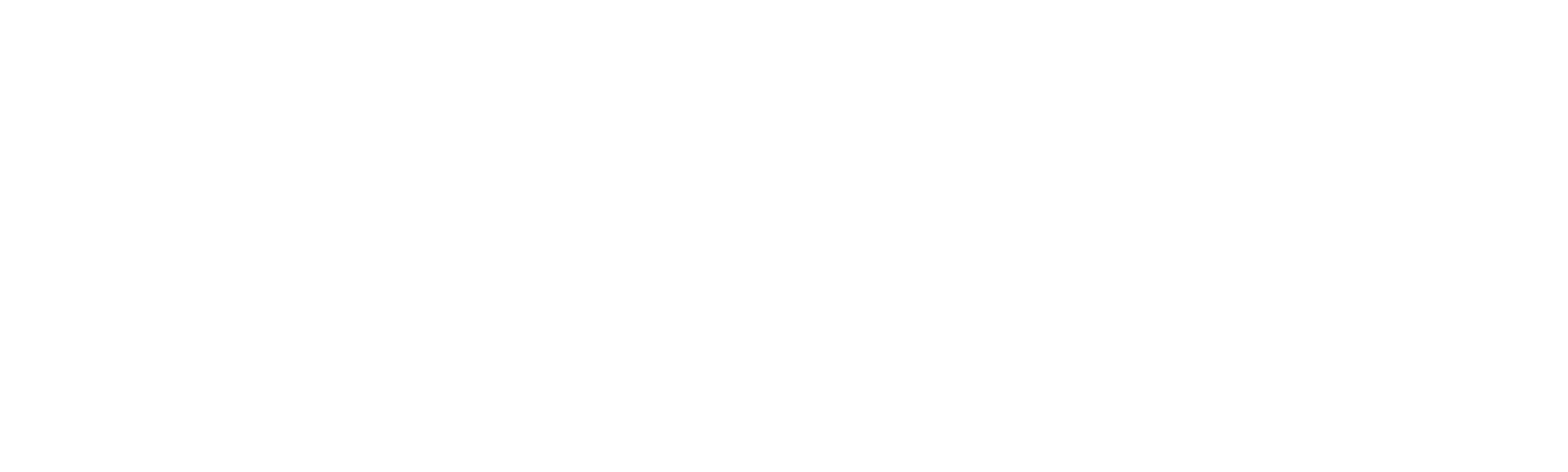 La doctora Lee, consulta virtual